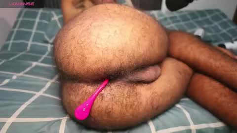 Little bear - give my room a like thanks. online show from April 2026 02:57:01 AM