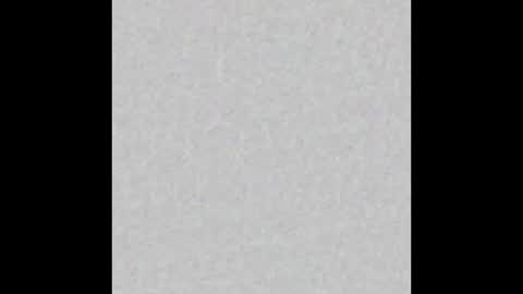 Eliana online show from November 2025 08:09:01 AM