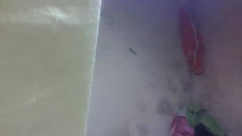 yanah online show from September 2025 11:21:01 AM