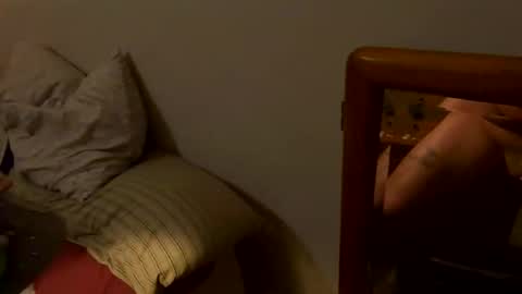 Snapshot of livingpuddle chatting on April 2026 11:49:02 PM livingpuddle online show from April 2026 11:49:02 PM