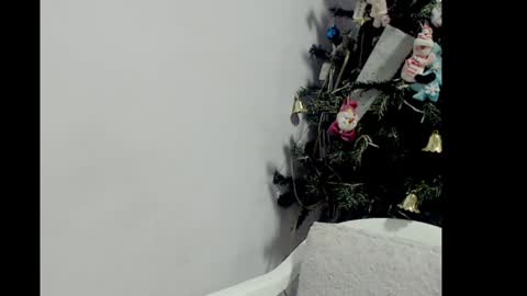 lizz1305 online show from December 2024 03:20:02 PM