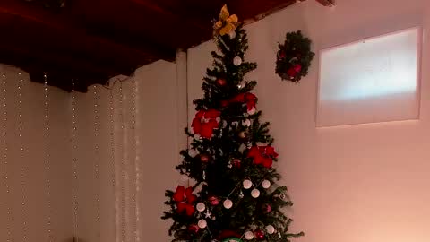 mara online show from December 2024 07:56:01 PM