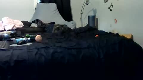 Snapshot of lonelydick2222 chatting on May 2026 01:28:02 PM lonelydick2222 online show from May 2026 01:28:02 PM