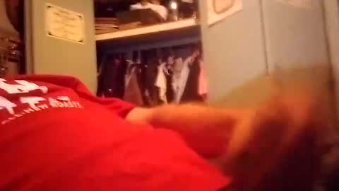 longdongsilverj online show from January 2025 11:10:02 AM