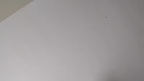 Mr. FogoDeChao online show from January 2026 11:09:01 PM