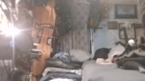 Mr. FogoDeChao online show from April 2026 12:57:01 AM