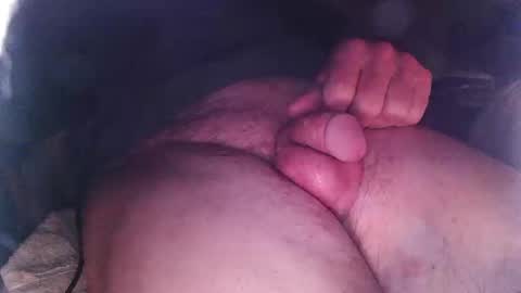 lookingforcougars500 online show from March 2026 04:58:01 AM