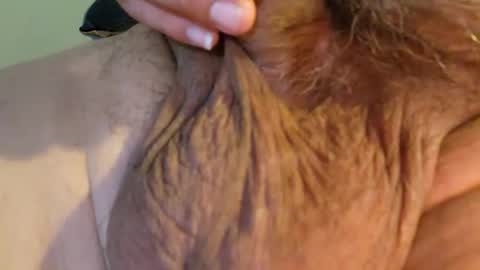 2791 3D online show from February 2026 10:08:02 AM