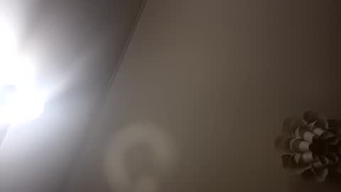 Snapshot of loraflame chatting on January 2025 06:56:02 PM Lora online show from January 2025 06:56:02 PM
