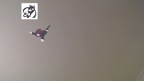 Snapshot of lostcausenef chatting on March 2025 12:31:01 AM nefisa nef online show from March 2025 12:31:01 AM