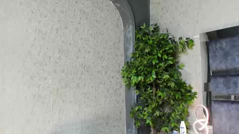 Louis online show from November 2025 06:02:01 AM