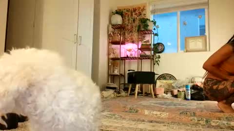Snapshot of lovelyxmacii chatting on May 2026 02:39:01 AM lovelyxmacii online show from May 2026 02:39:01 AM