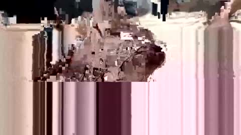 Snapshot of loverboy000017 chatting on March 2025 01:05:01 AM loverboy000017 online show from March 2025 01:05:01 AM