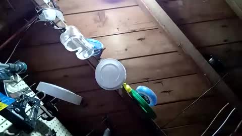 lowtidehightide online show from November 2025 04:51:02 PM