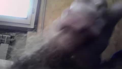 Snapshot of lucafava90 chatting on January 2025 09:32:02 AM lucafava90 online show from January 2025 09:32:02 AM