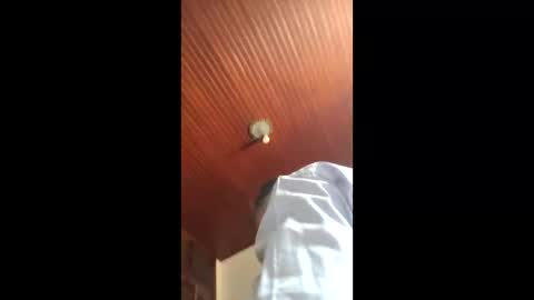 lucas online show from January 2026 04:55:01 PM