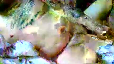 lucky134u online show from April 2026 11:44:01 AM