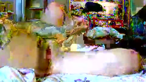 lucky134u online show from April 2026 02:55:01 AM