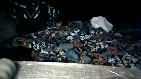 luisjg24hrs online show from July 2026 05:57:01 AM