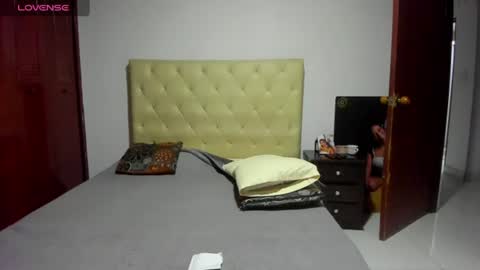 Snapshot of luissa_s1 chatting on July 2026 11:16:02 AM Luissa online show from July 2026 11:16:02 AM