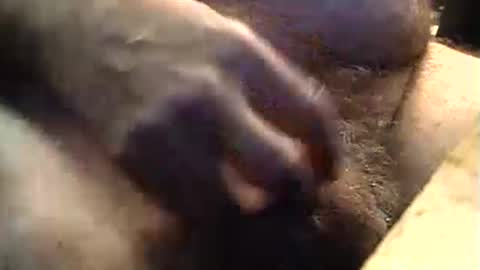 Snapshot of lukestarfckr chatting on September 2025 09:20:01 AM lukestarfckr online show from September 2025 09:20:01 AM