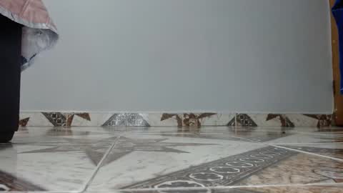 Luna--Blueberry online show from December 2025 04:40:02 AM