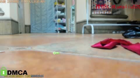 luna online show from December 2024 01:41:02 PM