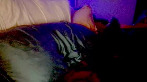 Luna Daddys Girl online show from November 2025 09:20:01 AM