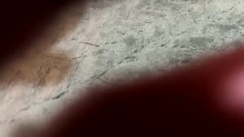 Snapshot of lust_4_daze chatting on February 2026 07:21:01 PM lust_4_daze online show from February 2026 07:21:01 PM