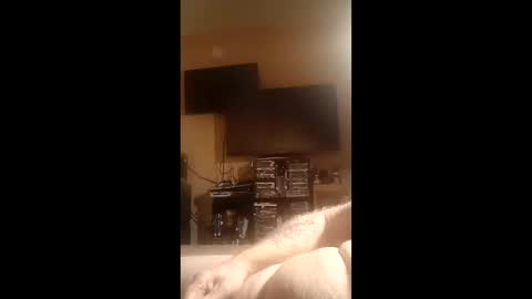 luv2cum4u612 online show from January 2026 08:49:02 AM