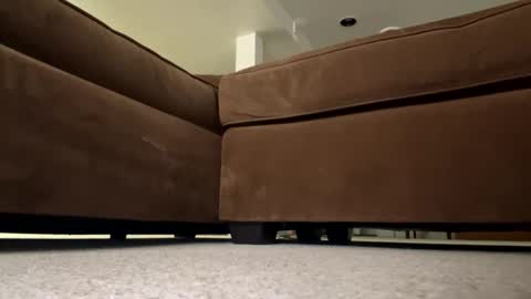 Snapshot of luv_2_master_bate chatting on September 2025 07:06:02 PM luv_2_master_bate online show from September 2025 07:06:02 PM