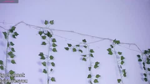 Lyly   online show from November 2025 05:39:02 AM