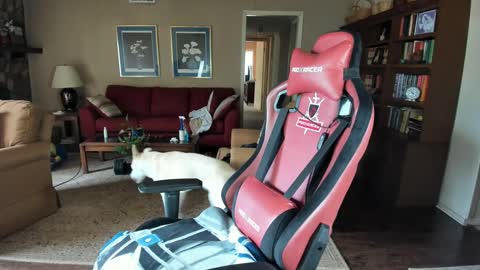 machinecumkelly69 online show from September 2025 06:09:02 PM