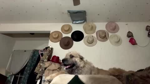 SummerPeach online show from January 2025 02:42:01 AM