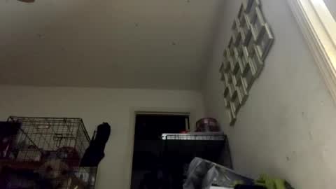 SummerPeach online show from January 2025 03:23:02 AM