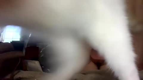 SummerPeach online show from February 2025 01:12:02 AM