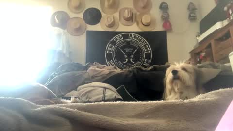 SummerPeach online show from February 2025 07:42:01 PM