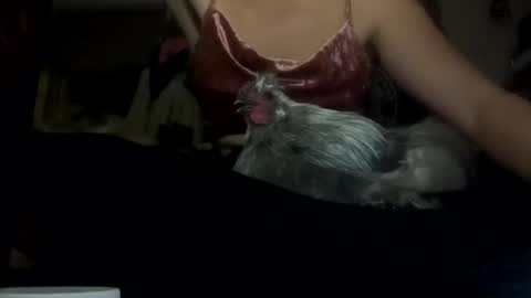 SummerPeach online show from February 2025 05:30:02 AM