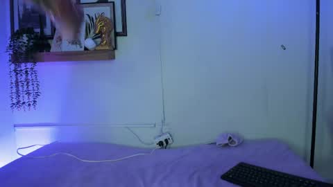    online show from May 2026 07:04:01 PM