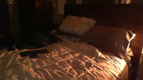 Guigui online show from February 2025 12:38:02 AM