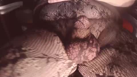 maestro2017 online show from February 2025 08:58:01 PM