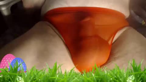 maestro2017 online show from April 2026 09:42:01 PM