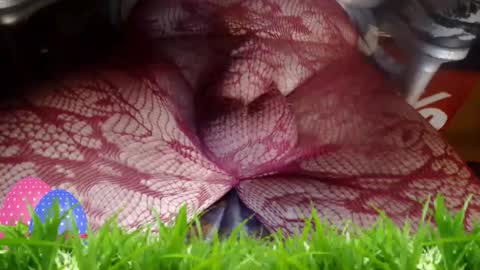 maestro2017 online show from April 2026 12:15:02 AM