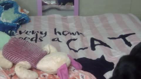 maferchavez88 online show from February 2026 02:15:02 AM