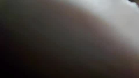 Snapshot of mag19791979 chatting on June 2026 07:04:02 PM mag19791979 online show from June 2026 07:04:02 PM