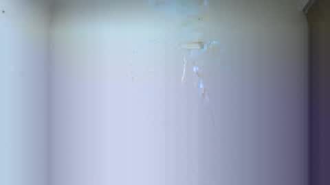 BRAYAN online show from March 2026 02:39:01 AM