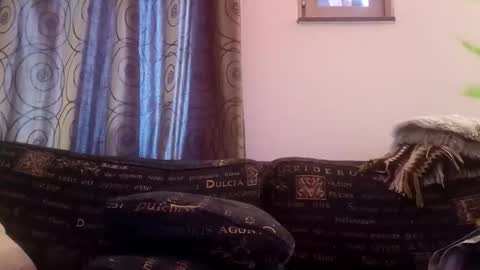 majorxoxo online show from November 2025 07:31:02 AM