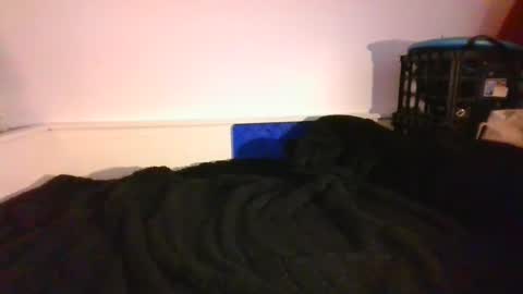 CommandbondageNipples bondage kink submissive lovense slave wgear. modequiethvyBondage If Password goldfish online show from December 2024 09:56:02 PM