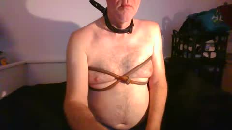 CommandbondageNipples bondage kink submissive lovense slave wgear. modequiethvyBondage If Password goldfish online show from January 2025 09:12:01 AM