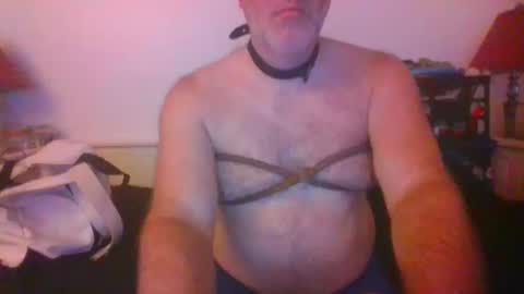 CommandbondageNipples bondage kink submissive lovense slave wgear. modequiethvyBondage If Password goldfish online show from October 2025 07:31:01 AM